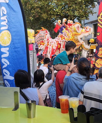 event-festival-crowds-img